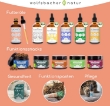 Picture of Salmon Oil for Dogs and Cats with Omega 3 & 6 I 500 ml