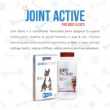 Picture of Joint Active tablet 1x10