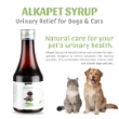 Picture of Alkapet Syrup 200 ml