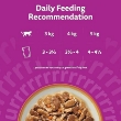 Picture of WHISKAS TASTY MIX Adult Wet Cat Food in Gravy 12x85g Country Collection 