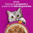 Picture of WHISKAS TASTY MIX Adult Wet Cat Food in Gravy 12x85g Country Collection 