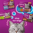 Picture of WHISKAS TASTY MIX Adult Wet Cat Food in Gravy 12x85g Country Collection 