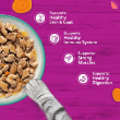Picture of Whiskas 1+ Tasty Mix Catch of the Day in Gravy