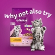 Picture of Whiskas Kitten Food Wet, Poultry Feasts in Jelly,12 x 85g