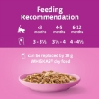 Picture of Whiskas Kitten Food Wet, Poultry Feasts in Jelly,12 x 85g