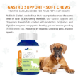 Picture of Ektek Gastro Support for Dogs