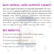 Picture of Ektek Liver Support for Dogs