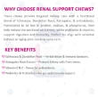 Picture of ektek Renal Support for Dogs
