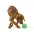 Picture of CCA Non-Sinking Hard Pink Dog Play Ball (L)