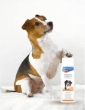 Picture of Orange shampoo, 250 ml