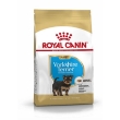 Picture of Royal Canin Yorkshire Terrier Puppy 1.5kg