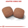 Picture of Royal Canin Giant Adult 15K