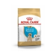 Picture of Royal Canin Labrador Puppy 12 KG