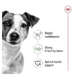 Picture of ROYAL CANIN MINI ADULT CIL 195g (12/pack)