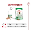 Picture of ROYAL CANIN MINI ADULT CIL 195g (12/pack)