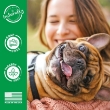 Picture of TropiClean  Lime & Coconut Deodorizing Pet Spray  (236ml)