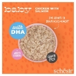 Picture of Schesir baby cat can wholefood chicken with salmon 70G (Pac/3)