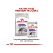 Picture of Royal Canin Mini Sterilised Adult Dry Dog Food   1kg
