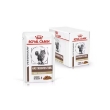 Picture of Royal Canin  Gastrointestinal  Chunks in Gravy 85g (12/Pac)