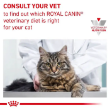 Picture of Royal Canin  Gastrointestinal  Chunks in Gravy 85g (12/Pac)