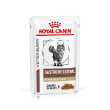 Picture of Royal Canin  Gastrointestinal  Chunks in Gravy 85g (12/Pac)