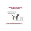 Picture of Royal Canin VHN Urinary Small Dog 1.5K