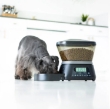 Picture of Gamma Nano Automated Feeder Cat & Dog Bowl, 2 Cups