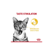 Picture of Royal Canin  Sensory™ Taste Chunks in Gravy (12/pack)