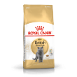 Picture of Royal Canin BrItish Shorthair 13kg