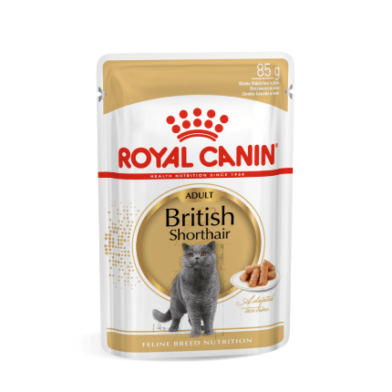 Picture of Royal Canin® British Shorthair (12/pack)