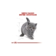 Picture of Royal Canin British shorthair kitten 2kg 