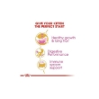 Picture of Royal Canin Kitten Persian 2KG