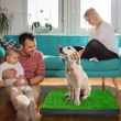 Picture of Pet Potty Park Deluxe Dog Relief System