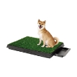 Picture of Pet Potty Park Deluxe Dog Relief System