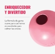 Picture of The KONG Puppy Ball i