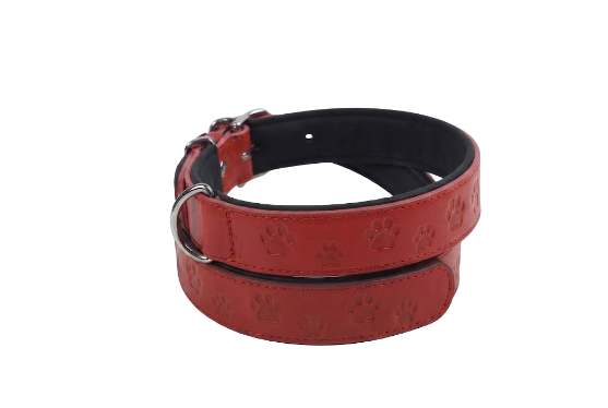 Picture of  Premium red leather dog collar measuring 3 cm 