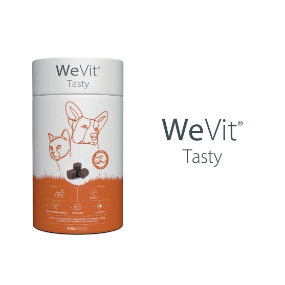 Picture of WeVit Tasty for Dogs & Cats (30 soft-chews) 