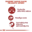 Picture of Royal Canin Adult Fit &  active 4kg