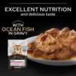 Picture of Pro Plan Adult Delicate Digestion Oceanfish in Gravy 6x85 g