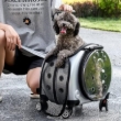 Picture of Rolling Hard-Shell Space Capsule Pet Carrier with Wheels medium up to 6.5 kg