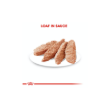Picture of Royal Canin Exigent Loaf Adult Wet Dog Food Pouches 85g (12/pack)