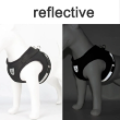 Picture of Escape-Proof Soft Mesh Cat Harness and Leash Set