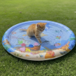 Picture of Inflatable Sensory Water Mat for Cats and Dogs