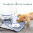Picture of 2-in-1 Automatic Pet Water Dispenser and Food Bowl Combo