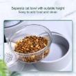 Picture of 2-in-1 Automatic Pet Water Dispenser and Food Bowl Combo