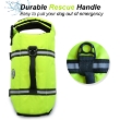Picture of VIVAGLORY Ripstop Dog Life Vest - Safety Flotation Jacket with Rescue Handle