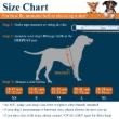 Picture of VIVAGLORY Ripstop Dog Life Vest - Safety Flotation Jacket with Rescue Handle