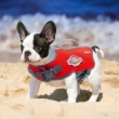 Picture of Sheripet High-Buoyancy Dog Life Jacket  Small