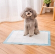 Picture of Ultra-Absorbent Large Breed Puppy Training Pads (Size L, 40-Pack)