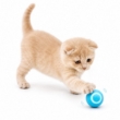 Picture of 360° Smart Rolling Interactive Cat Toy Ball